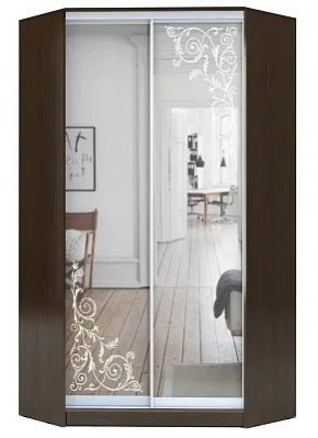 Шкаф-купе ХИТ-У-22-4-66 ОРНАМЕНТ в Березниках - berezniki.mebel24.online | фото