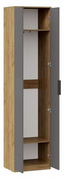 Шкаф платяной Хилтон Исп. 2 в Березниках - berezniki.mebel24.online | фото 2
