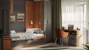 Шкаф платяной Хилтон Исп. 2 в Березниках - berezniki.mebel24.online | фото 5