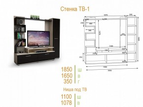 Стенка для гостиной ТВ-1 в Березниках - berezniki.mebel24.online | фото 2
