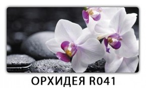 Стол обеденный Трилогия с фотопечатью Доска D112 в Березниках - berezniki.mebel24.online | фото 7