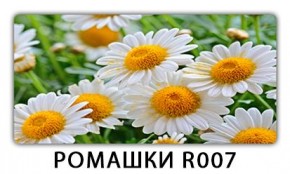 Стол раздвижной Трилогия с фотопечатью Ромашки R007 в Березниках - berezniki.mebel24.online | фото 15