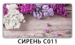 Стол раздвижной Трилогия с фотопечатью Ромашки R007 в Березниках - berezniki.mebel24.online | фото 16