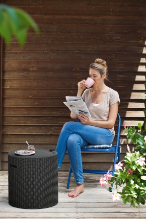 Столик-холодильник Кул-Стул (Cool stool) коричневый в Березниках - berezniki.mebel24.online | фото 2