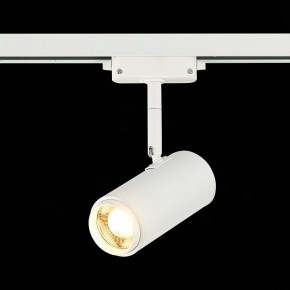 Светильник на штанге ST-Luce Zoom ST600.536.12 в Березниках - berezniki.mebel24.online | фото 4