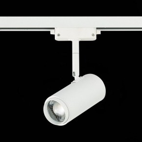 Светильник на штанге ST-Luce Zoom ST600.546.12 в Березниках - berezniki.mebel24.online | фото 5