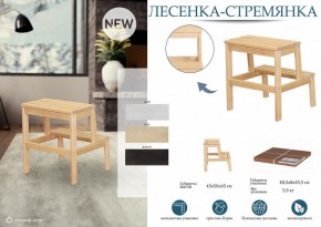 Табурет Стремянка в Березниках - berezniki.mebel24.online | фото 3