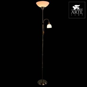 Торшер с подсветкой Arte Lamp Duetto A9569PN-2AB в Березниках - berezniki.mebel24.online | фото 3