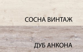 Тумба RTV 1D2SN, MONAKO, цвет Сосна винтаж/дуб анкона в Березниках - berezniki.mebel24.online | фото 3